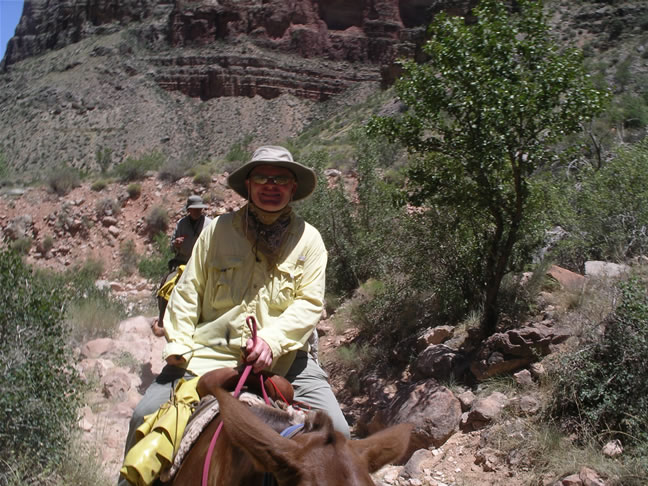 images/A-Mule Ride- returning to the Rim (3).jpg